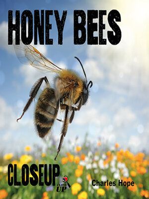 cover image of Honey Bees CloseUp